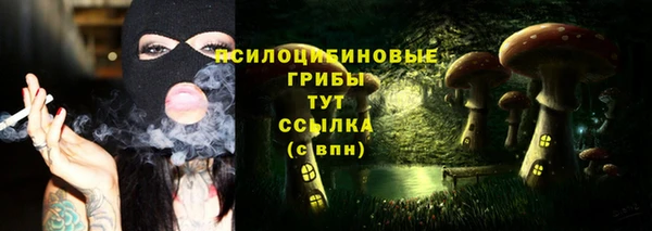 марихуана Снежногорск