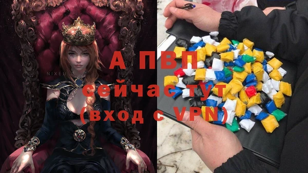 гашик Беломорск