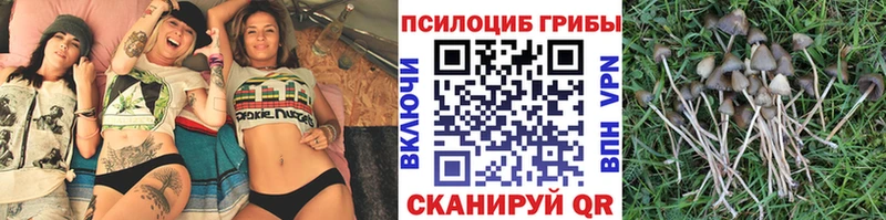 Галлюциногенные грибы прущие грибы  Кузнецк 